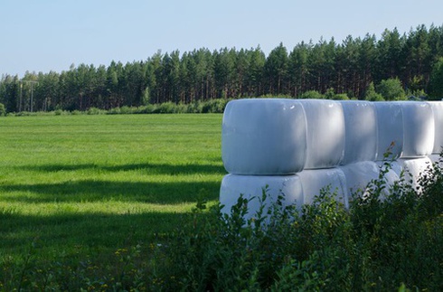Ensilage till häst | Utfodring | Trikem Academy Ensilage till häst | Utfodring | Trikem Academy
