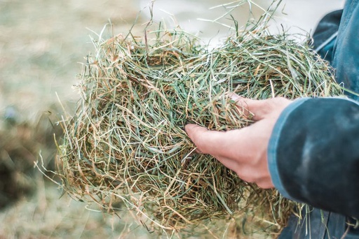 Hösilage | Grovfoder | Trikem Academy Hösilage | Grovfoder | Trikem Academy