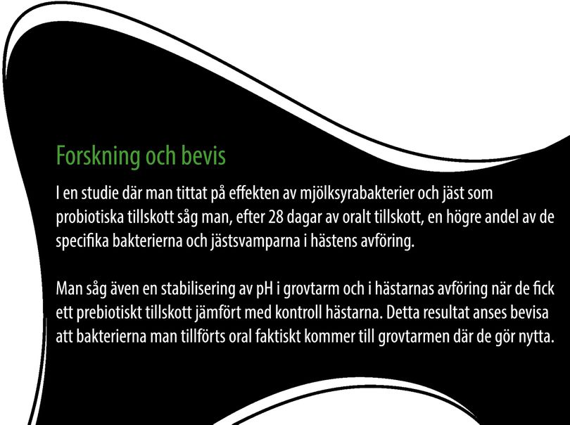 Odoo tillhandahåller en viktig plattform för vår projektledning.
Saker är bättre organiserade och mer synliga med det